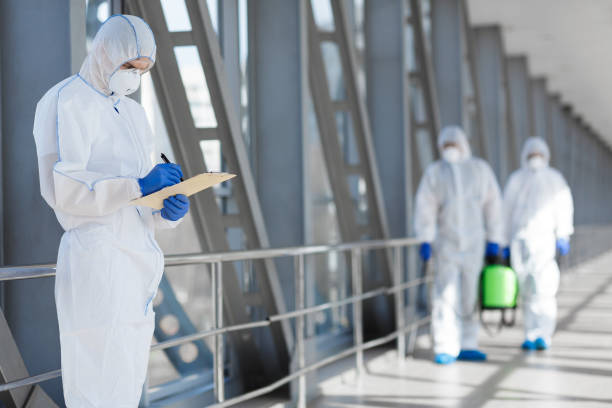 Best Asbestos and Lead Testing During Mold Inspection  in Holt, MI