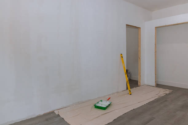 Best Industrial Mold Remediation  in Holt, MI
