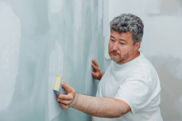 Environmental Consulting for Mold Prevention in Holt, MI