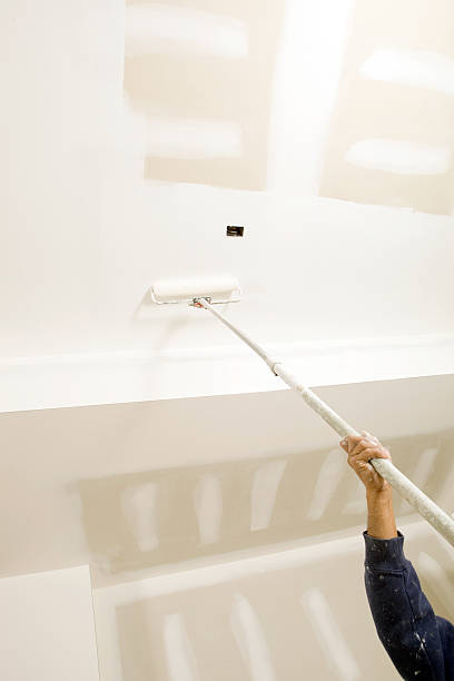 Best Forensic Mold Investigation  in Holt, MI