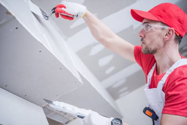 Best Mold Remediation for Healthcare Facilities  in Holt, MI