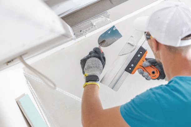 Trusted Holt, MI Mold Removal Experts